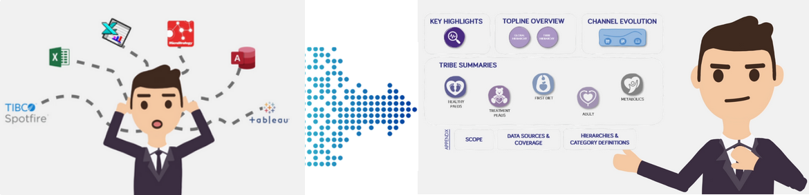 Market Share Platform at Nutricia Netherlands — automated pipeline for market analysis